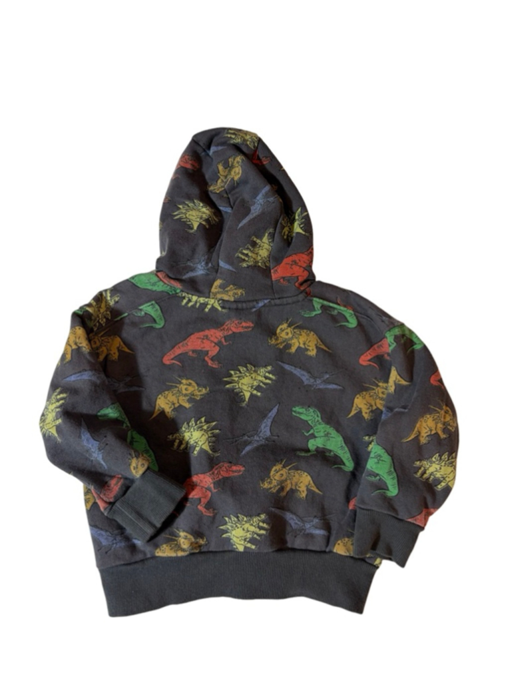 Deux Par Deux Dinosaur Hoodie Sweatshirt Toddler Boys Size 3T Dino Print